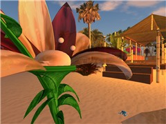 Very big flower! - edo Jay