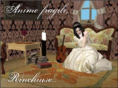 Doll's House