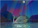 Gypsy Moon - Clarrice Cinquetti