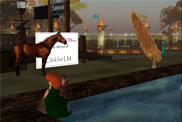 crypto,scrable...here - hynesyte Harbour