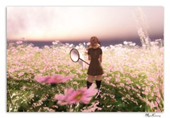 butterfly net