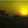 September Haze
