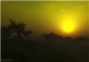 September Haze