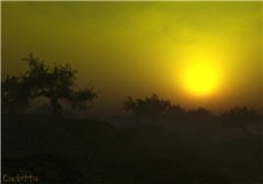 September Haze