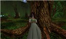 In The Forest 2