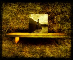 Memories on the shelf