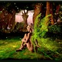Fairy