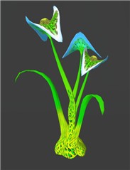 greater angel iris
