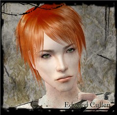 Shiny _Edward Cullen Portrait_