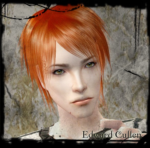 Shiny _Edward Cullen Portrait_