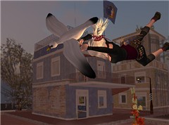 kidnapped by a crazy seagull