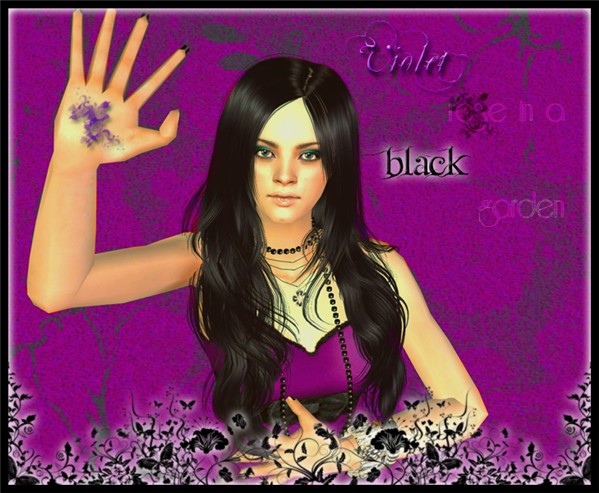 Violet rose in a black garden