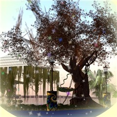 swing