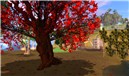PolyLand