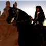 The Black Stallion