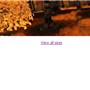 Embed Images in Comments & Descriptions
