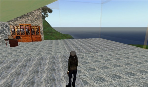 Snapshot_021