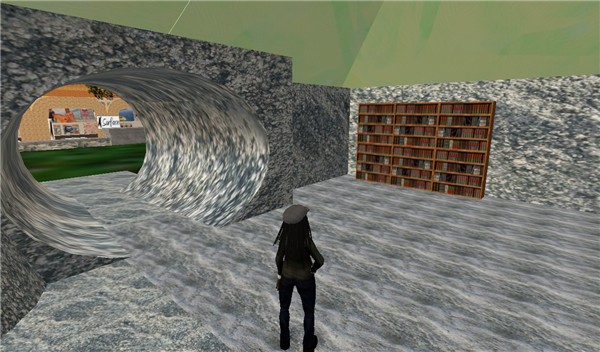 Snapshot_020