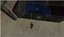 Snapshot_026