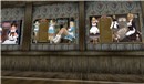 Snapshot_097
