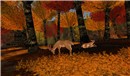 Snapshot_077