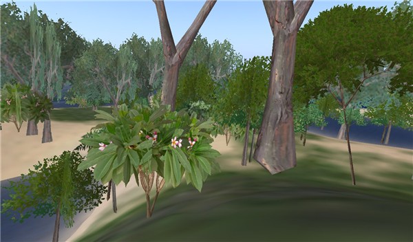 Snapshot_136