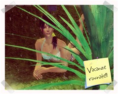 Vacanze Rovinate