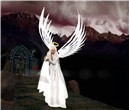 Fools rush in where angels fear to tread