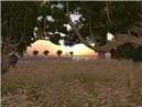Copy of cosmos sunset