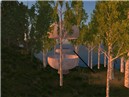Copy of Mushroom Hideaway Birch forest