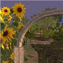 Tyche Vinyard Bees