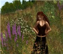 Fieldshot