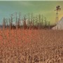 onthefarm