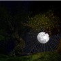 Captured moon