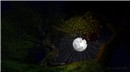 Captured moon