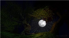 Captured moon