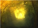 Through the Hollow Way