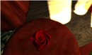rose red velvet and yellow light beams - Torley Olmstead