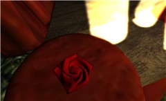 rose red velvet and yellow light beams - Torley Olmstead