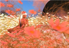 donna di fiori