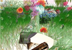 in mezzo ai fiori