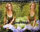 Blendwatson11 copy