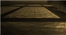 RiceFields