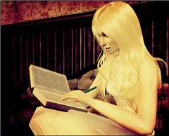The Writer