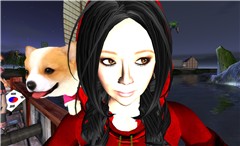 vnfdlv Andel and dog - Torley Olmstead