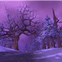 Winterspring 2