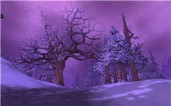 Winterspring 2