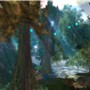 Chakryn Forest 46