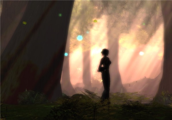 Chakryn Forest 29