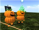 pumpkin_001